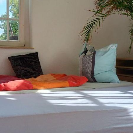 Forrest Apartments In Freiberg Min Stay 2 Nights Max Number Of Guest 1 Aprt 1 Eksteriør billede