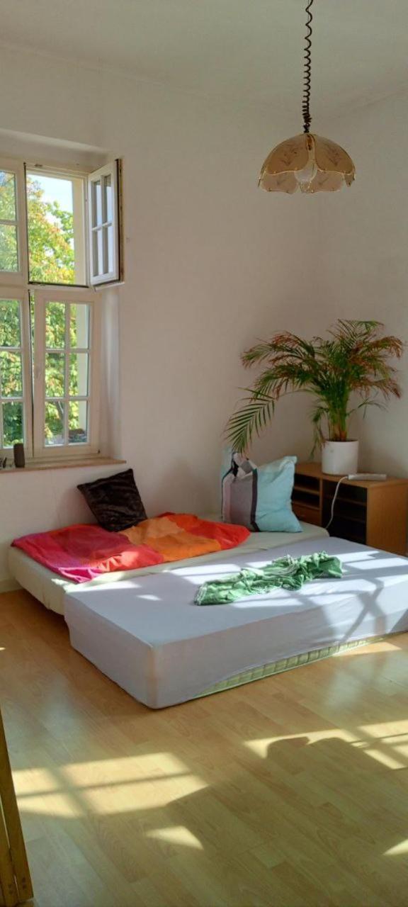 Forrest Apartments In Freiberg Min Stay 2 Nights Max Number Of Guest 1 Aprt 1 Eksteriør billede