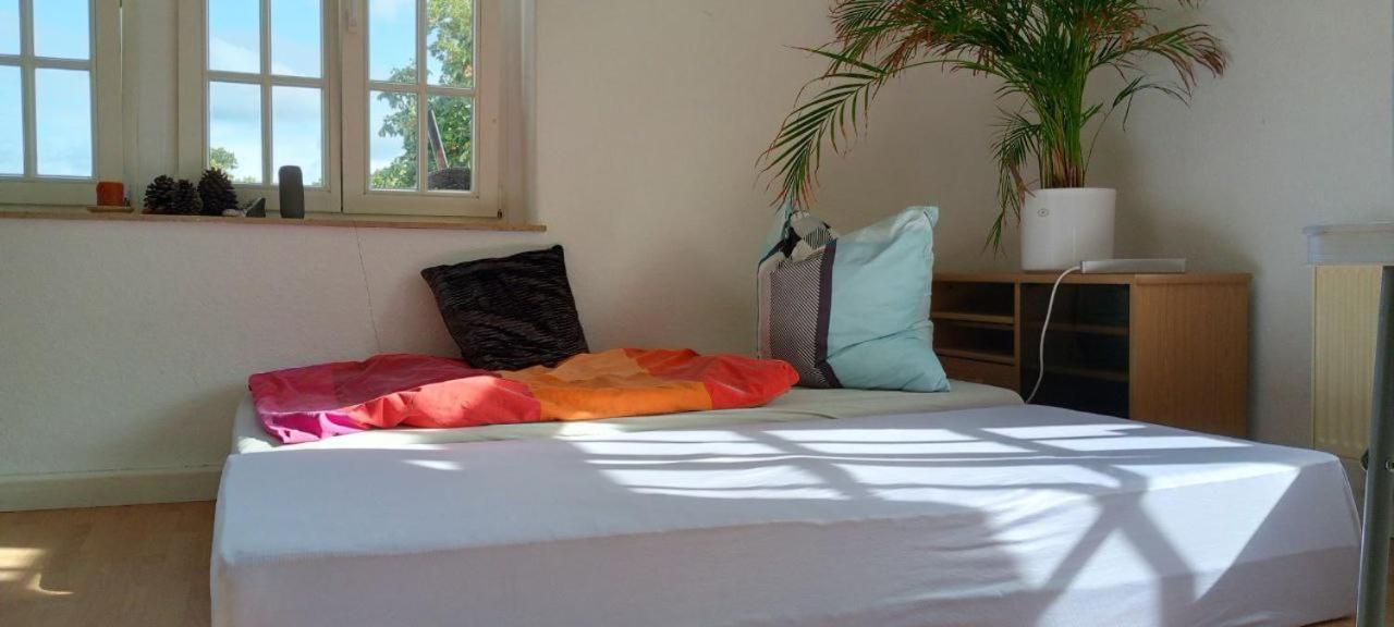 Forrest Apartments In Freiberg Min Stay 2 Nights Max Number Of Guest 1 Aprt 1 Eksteriør billede